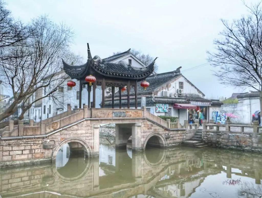 连续打网游12小时，司机误把油门当刹车，把车开进路边菜地